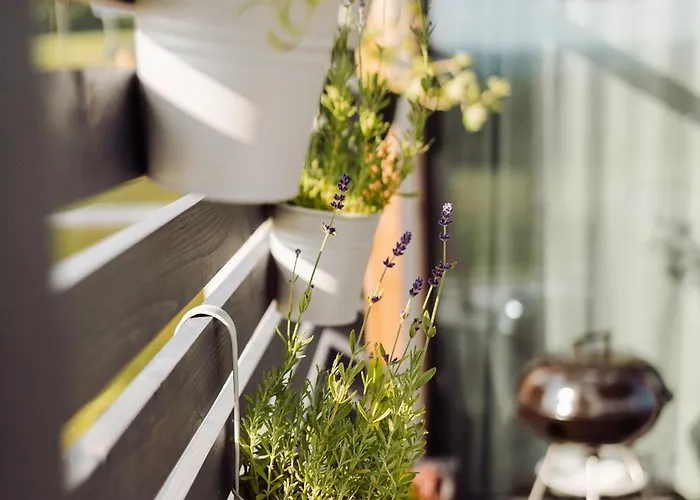 בית נופש Osada Przejrzysko