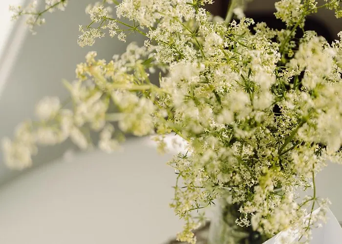 Osada Przejrzysko בית נופש *